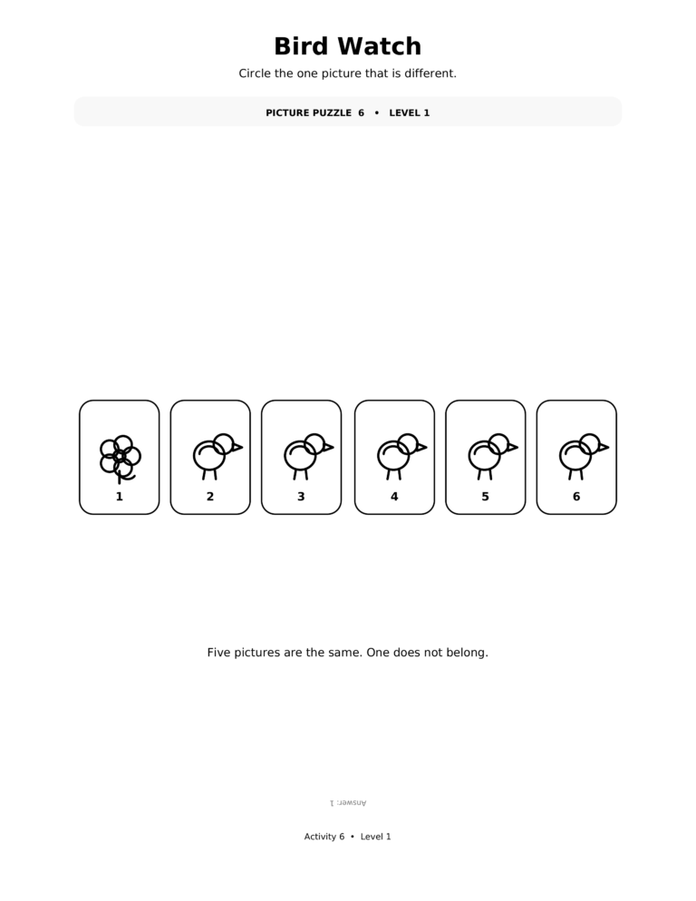 Bird Watch, a printable Ramadan picture puzzle worksheet for kids.
